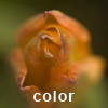 color_thumb